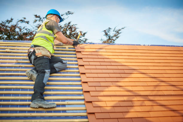 Best Skylight Installation and Repair  in Burnettown, SC